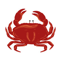 Crab Animal Ocean Illustration