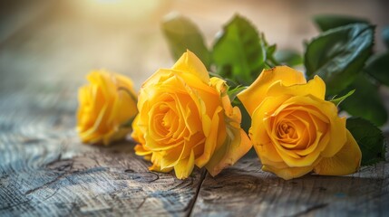 Obraz premium Close-Up of Yellow Roses on Wooden Background