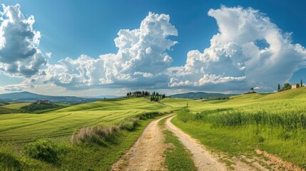 Fototapeta premium Tuscan Countryside with Rolling Hills and a Winding Road