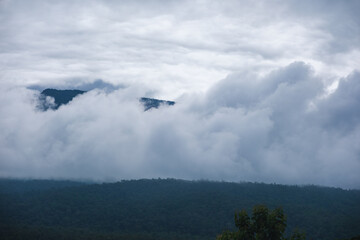 Landscape image of clouds over greenery rainforest mountains