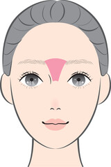 鼻根筋