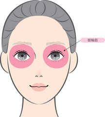 眼輪筋（名称あり）
