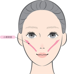 小頬骨筋（名称あり）