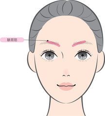 皺眉筋（名称あり）