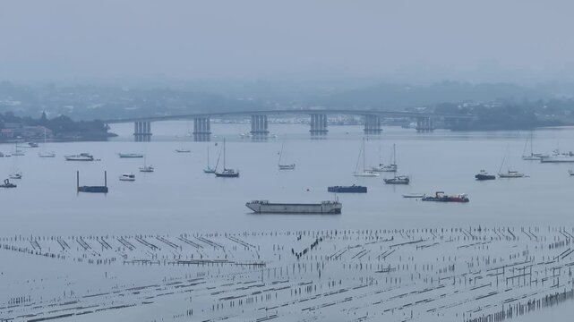 Many boats are in the water with a bridge in the background