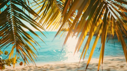 Fototapeta premium Tropical Paradise: A Glimpse of Serenity Through Palm Fronds