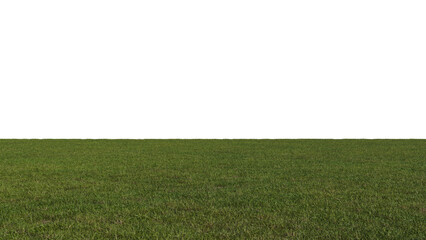 Grass Lawn on a Transparent Background