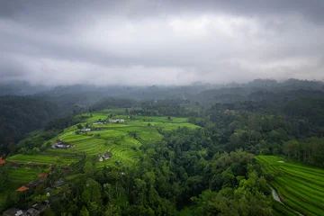 The Amazing jatiluwih rice terraces in Bali, Indonesia