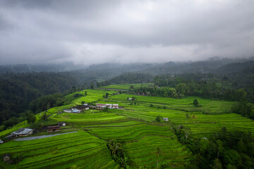 Obraz premium The Amazing jatiluwih rice terraces in Bali, Indonesia