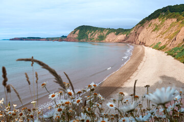 view of the coast of the sea