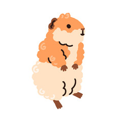 Guinea pig, cute fluffy tiny animal. Cavy, funny adorable rodent. Furry cuddly little hamster pet. Kawaii sweet comic miniature mammal. Flat graphic vector illustration isolated on white background