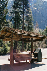 Forrest trail photography 