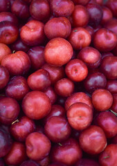 red apples in a market