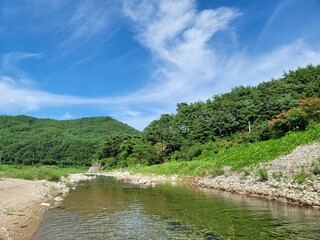 계곡 하천 강 숲 산 풍경 하늘 구름