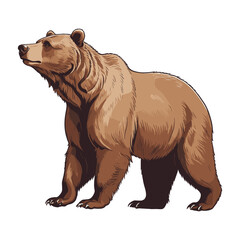 Brown Bear Vintage Illustration