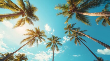 Bright palm trees stretch skyward under a vibrant blue sky, capturing the essence of a sunny tropical beach day