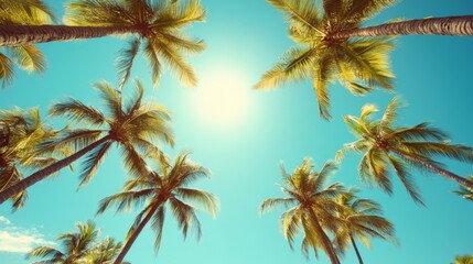 Tall palm trees reach towards the bright blue sky, capturing the essence of a sunny tropical beach day under the warm sun