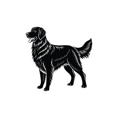 golden retriever silhouette.