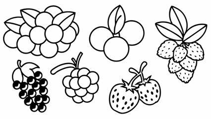 Fresh Summer Berries Set Vector | Cherry, Black Currant, Raspberry, Blueberry & More | Flat & Silhouette Outline Art