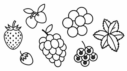 Fresh Summer Berries Set Vector | Cherry, Black Currant, Raspberry, Blueberry & More | Flat & Silhouette Outline Art