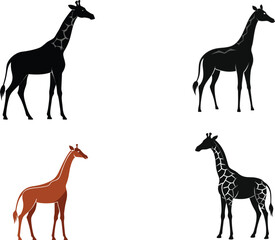 Fototapeta premium giraffe Silhouette on White Background 