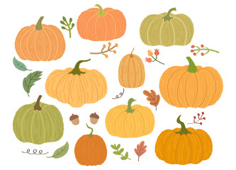 Collection of variety hand drawn pumpkin in flat. Fall cozy cartoon style elements set. Hello autumn theme. Cute pumpkin and leave, acorns in warm natural fall colors. Halloween squash harvest gourds.