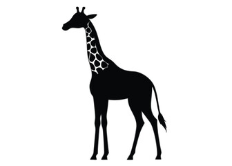 giraffe Silhouette on White Background 