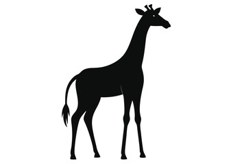 Fototapeta premium giraffe Silhouette on White Background 
