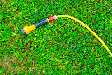 A water hose with a sprayer for watering plants in the garden. Gardening concept.