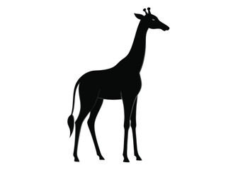 Obraz premium giraffe Silhouette on White Background 