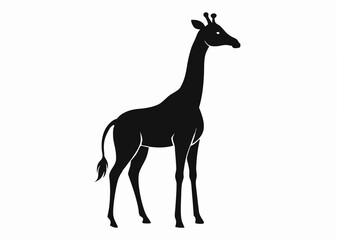 giraffe Silhouette on White Background 