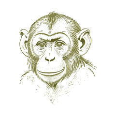 Vintage Illustration of a Monkey Face