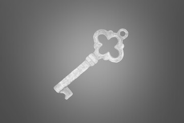 key icon in flat design with shadow effect