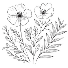 Vector flower illustration. element with botanical floral outline with leaves in black isolated on white background. Anthurium flower contour decoration for summer design or coloring book.