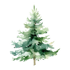 Obraz premium Watercolor pine trees on white background