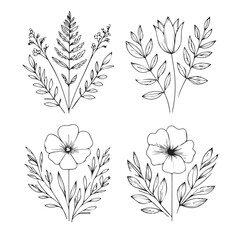 Vector flower illustration. element with botanical floral outline with leaves in black isolated on white background. Anthurium flower contour decoration for summer design or coloring book.