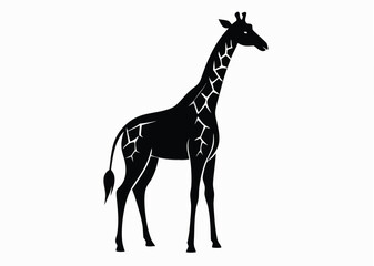 giraffe Silhouette on White Background 