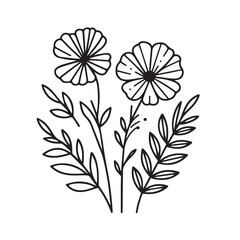 Vector flower illustration. element with botanical floral outline with leaves in black isolated on white background. Anthurium flower contour decoration for summer design or coloring book.