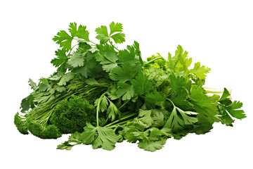 Fototapeta premium Fresh parsley and other fresh herbs isolated on white background.