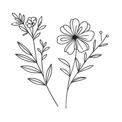 Vector flower illustration. element with botanical floral outline with leaves in black isolated on white background. Anthurium flower contour decoration for summer design or coloring book.