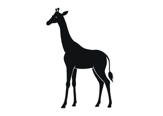 giraffe Silhouette on White Background 