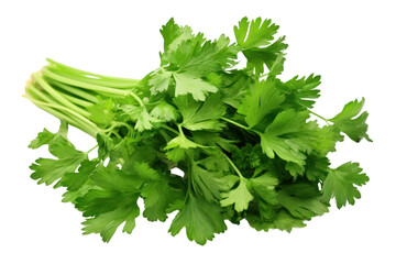 Fresh green parsley with bright green leaves and delicate stems, isolated on white background.
