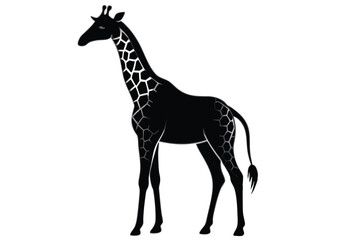 Naklejka premium giraffe Silhouette on White Background 