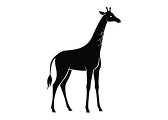giraffe Silhouette on White Background 