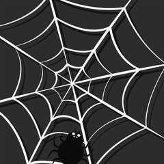 The black spider is waiting on the web. Vector illustration.