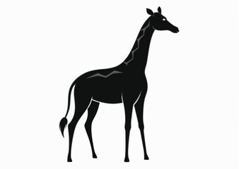 giraffe Silhouette on White Background 
