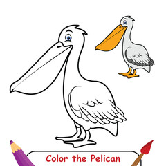 Pelican coloring page, coloring book for kids, pelican isolated vector, pelican drawing coloring book for children