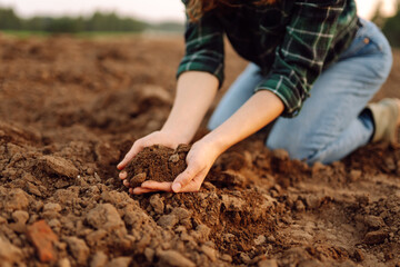 Female farmer hands holding black soil in their hands. Fertile land. garden field ground fertile...