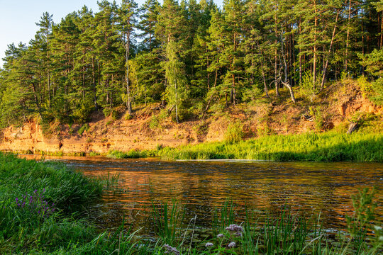 Red sandstone cliffs at the river Salaca in Salacgriva in Latvia in August in evening sun
