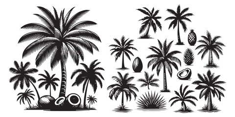 Silhouettes of Tropical Palm Trees. Black and White Vector Illustrations on White Background